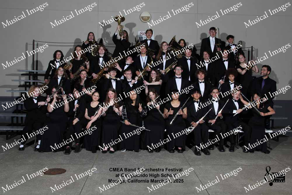 Musical Images